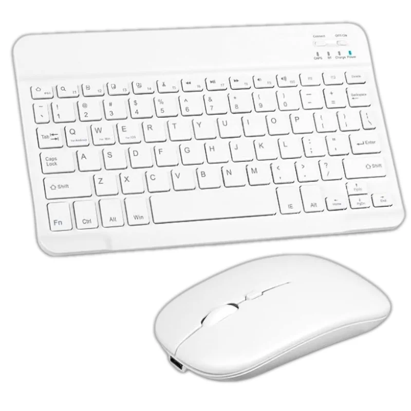 Teclado y mouse colores
